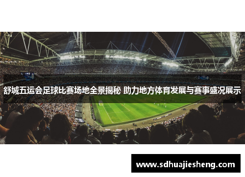 舒城五运会足球比赛场地全景揭秘 助力地方体育发展与赛事盛况展示