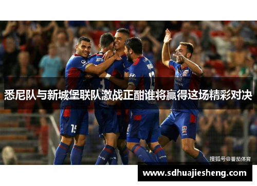 悉尼队与新城堡联队激战正酣谁将赢得这场精彩对决