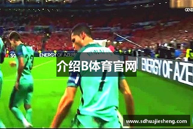 介绍B体育官网